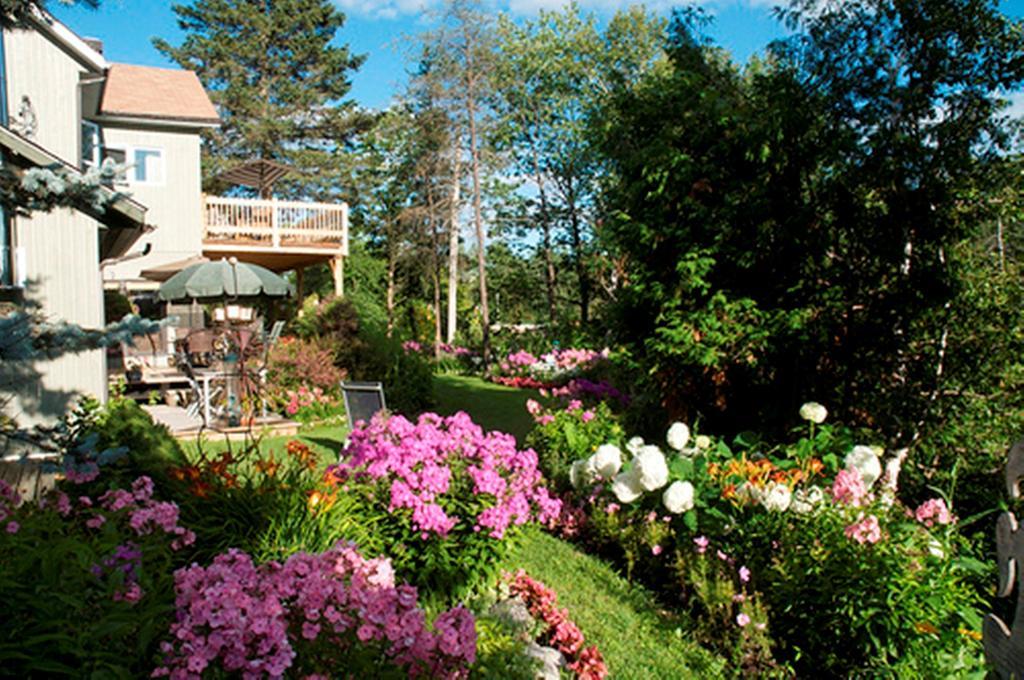 Gite Au Pied Du Courant De Gilbert Desjardins Mont-Laurier Exterior foto
