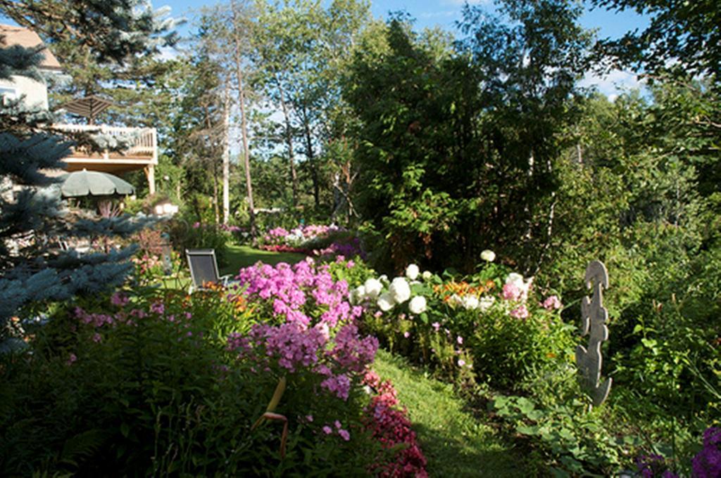 Gite Au Pied Du Courant De Gilbert Desjardins Mont-Laurier Exterior foto